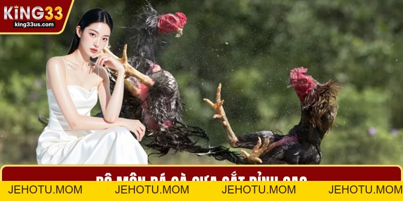 Đá Gà KING33 Và Bí Quyết Chinh Phục Sảnh Chơi Đỉnh Cao - jehotu