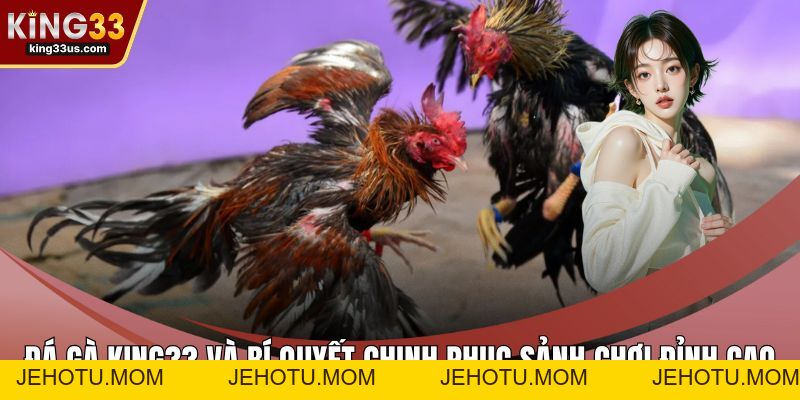 Đá Gà KING33 Và Bí Quyết Chinh Phục Sảnh Chơi Đỉnh Cao - jehotu