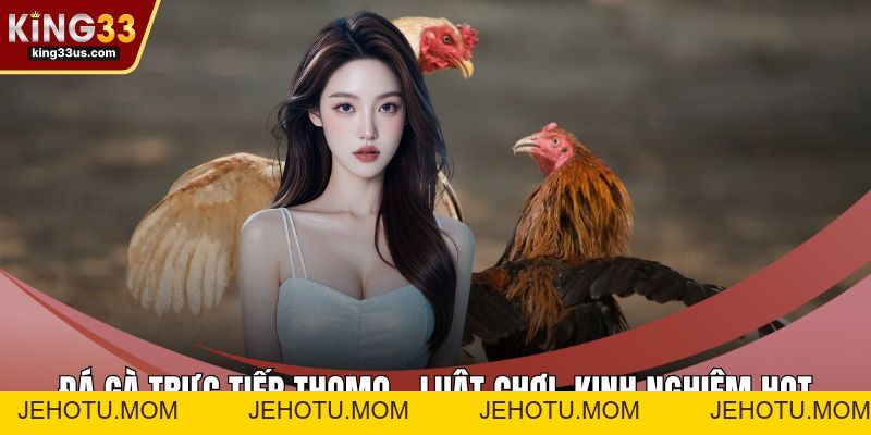 TP Bắn Cá Nhị Gia - Cách Săn Cá Chuẩn Theo Từng Làn Đạn - jehotu