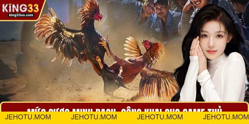 Đá Gà KING33 Và Bí Quyết Chinh Phục Sảnh Chơi Đỉnh Cao - jehotu