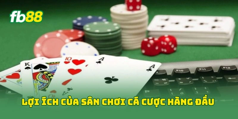 Giới Thiệu FB88 - Sân Chơi Cá Cược Thu Hút Ngàn Cược Thủ! - jehotu