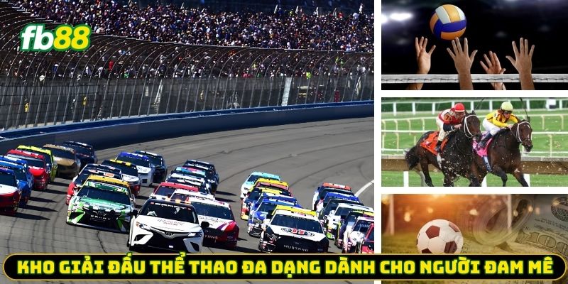 Thể Thao FB88 - Kèo Cược Đa Dạng - Ưu Đãi Hấp Dẫn 2026 - jehotu