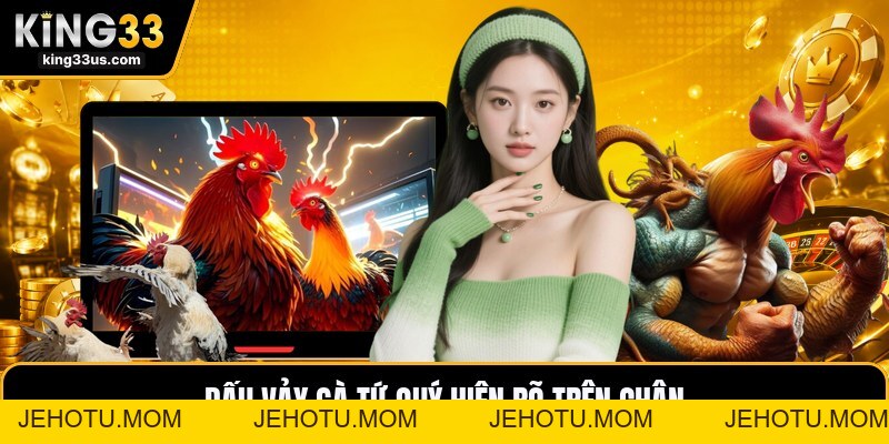Vảy Gà Tứ Quý - Cách Nhận Biết Dấu Chân Chiến Kê Hay - jehotu
